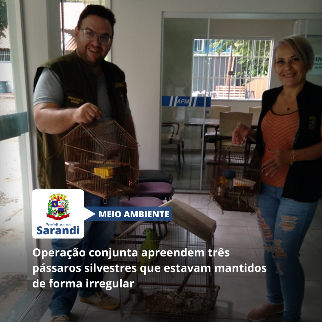 Operação conjunta apreendem três pássaros silvestres que estavam mantidos de forma irregular